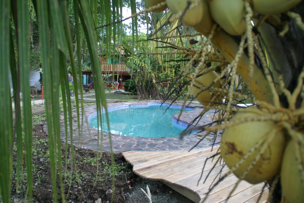 Hakuna Matata Hostel Cahuita Dış mekan fotoğraf
