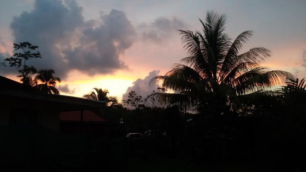 Hakuna Matata Hostel Cahuita Dış mekan fotoğraf