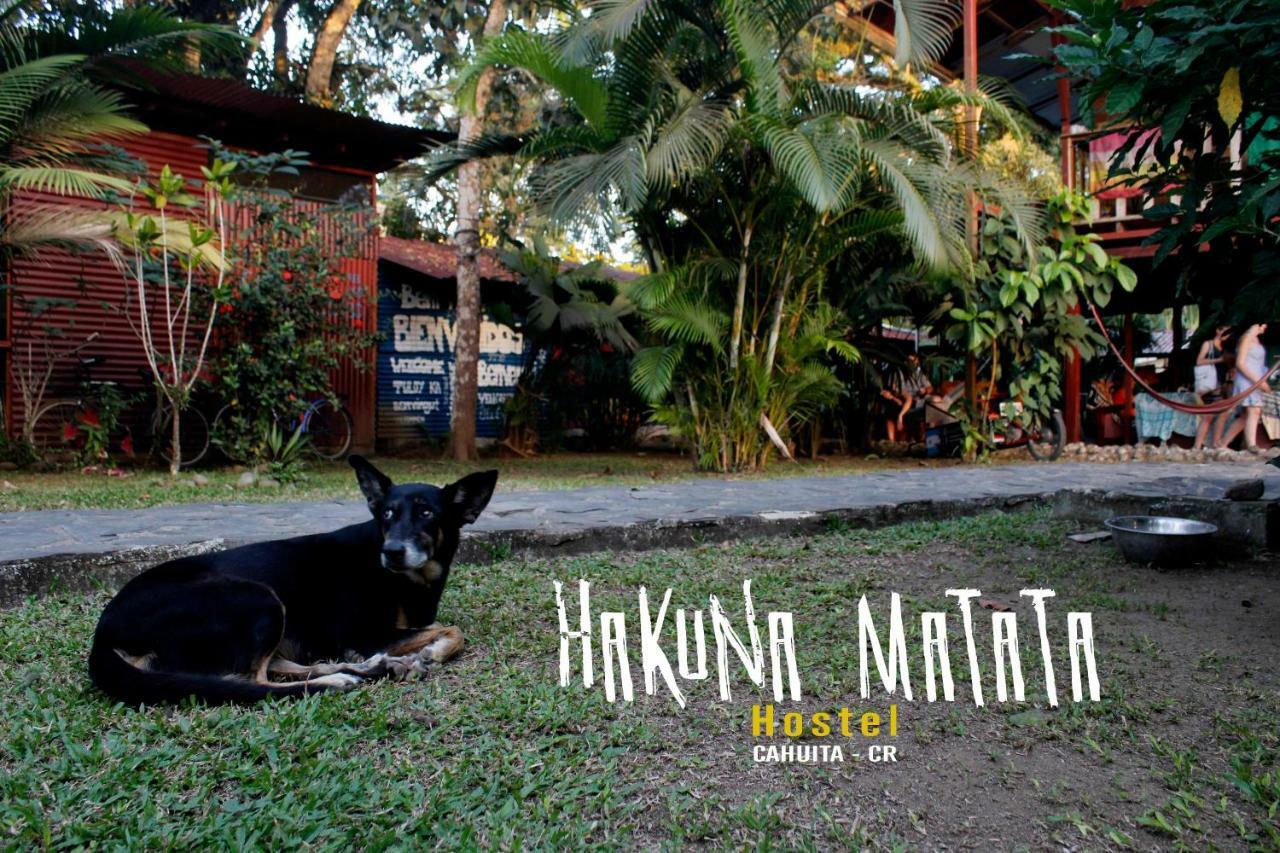 Hakuna Matata Hostel Cahuita Dış mekan fotoğraf