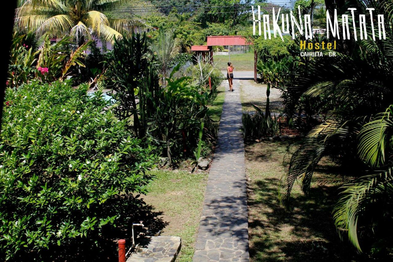 Hakuna Matata Hostel Cahuita Dış mekan fotoğraf